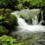 Tbilisi Panorama ArmAg Waterfall in Mtirala National Park Waterfall in Mtirala National Park